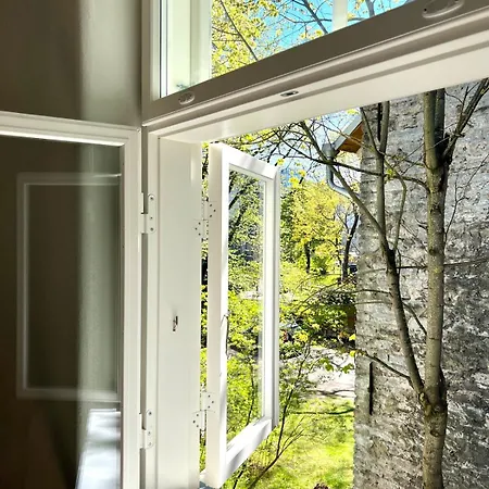 Modern Flat In A Courtyard