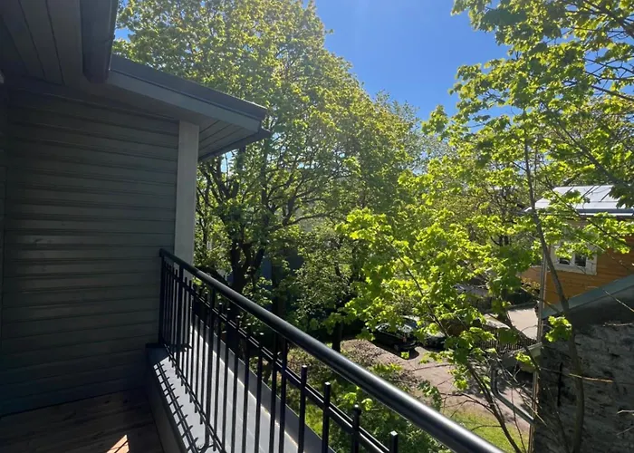 Modern Flat In A Courtyard
